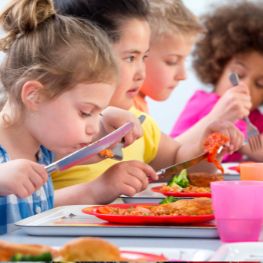 alimentacion y estudio