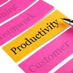 productividad estudio